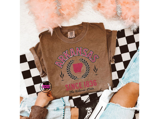 ARKANSAS VINTAGE VARSITY TEE - COMFORT COLORS