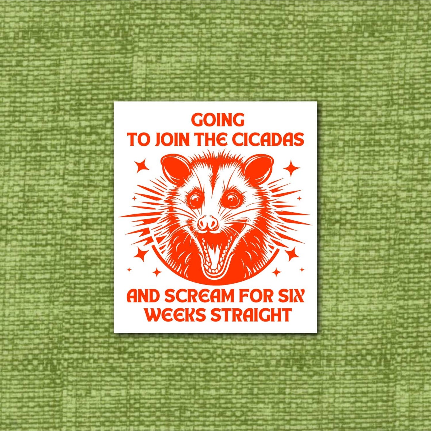Join Cicadas and Scream for 6 weeks, funny opossum sticker